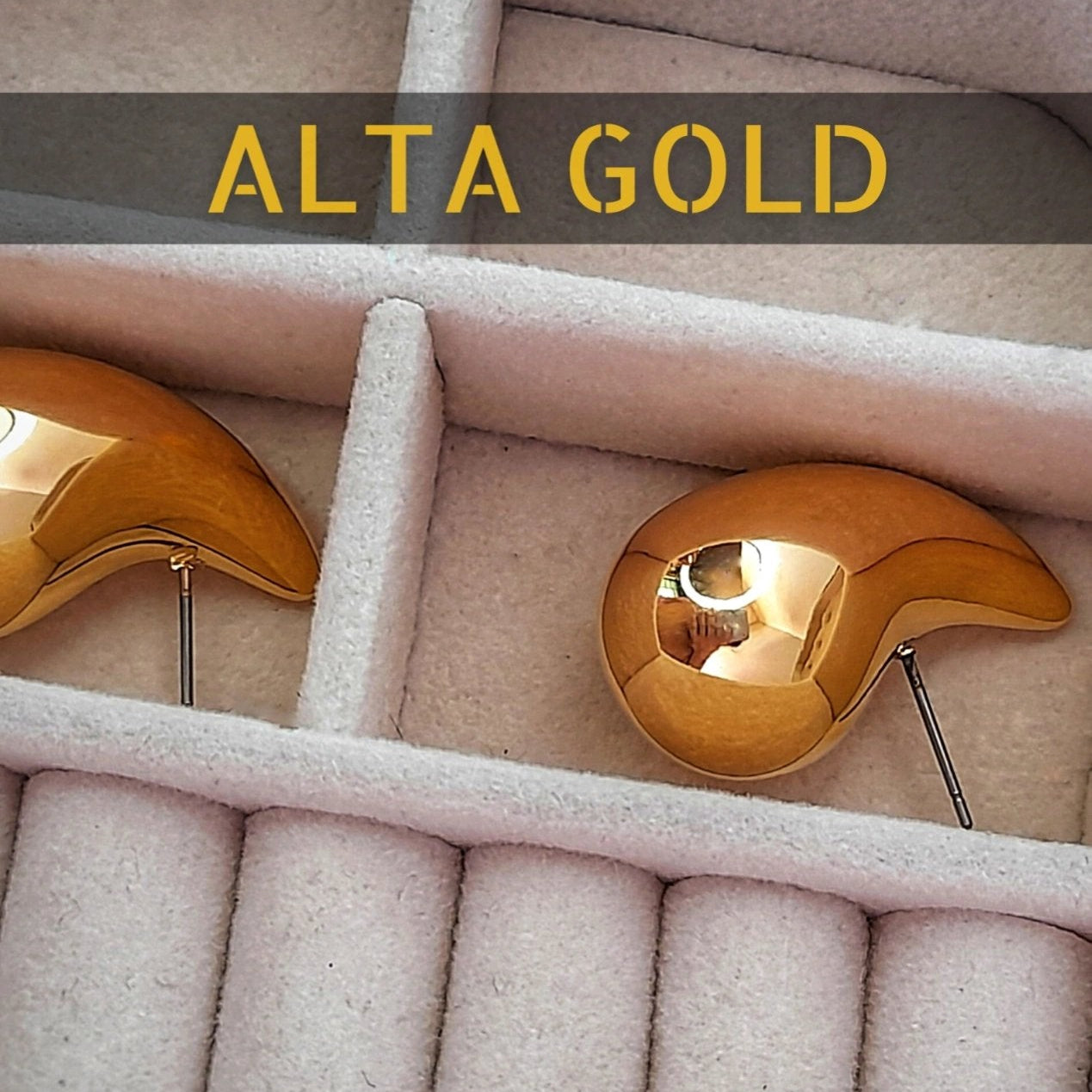 Alta Gold Earrings