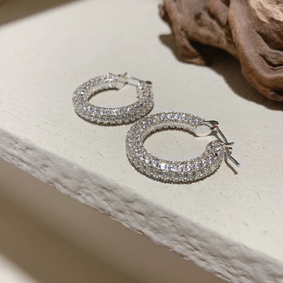 Large Pure Zirconium Hoops - Silver