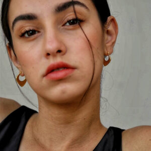 Hollow Chunk Hoops
